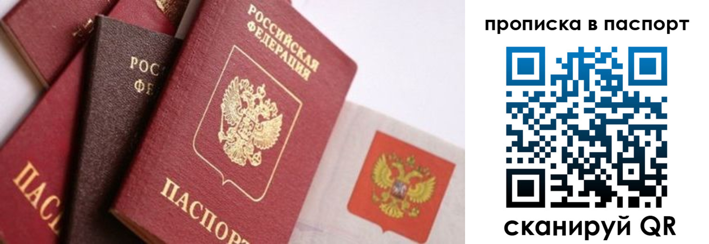 прописка штамп в Пионерском